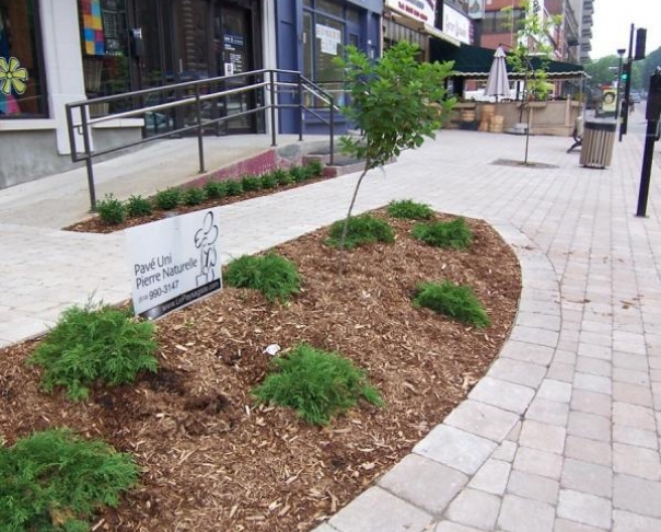 Pavé uni commercial à Montréal - Monkland NDG Montreal