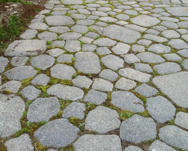 Pavé-uni végétalisé, écologique - Pavé-uni avec végétation forcée,