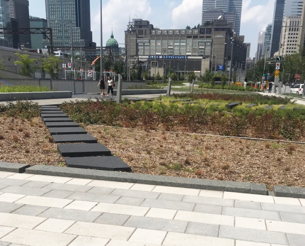 Parc Bonaventure - Travaux de granite, Centre-Ville