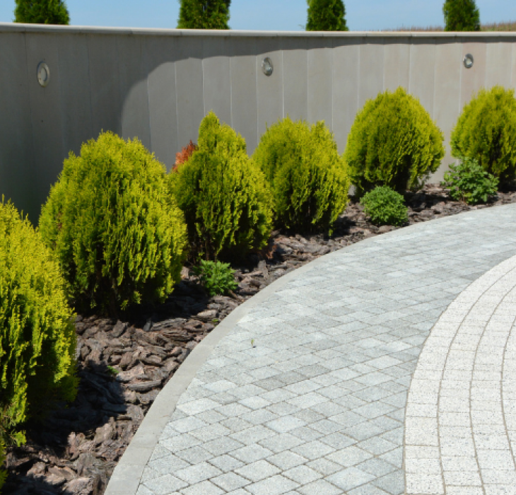 Planting  - Planting shrubs around a wide unistone driveway