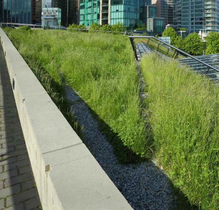  Roof arrangement -  Green roof, composed of grass and gravel