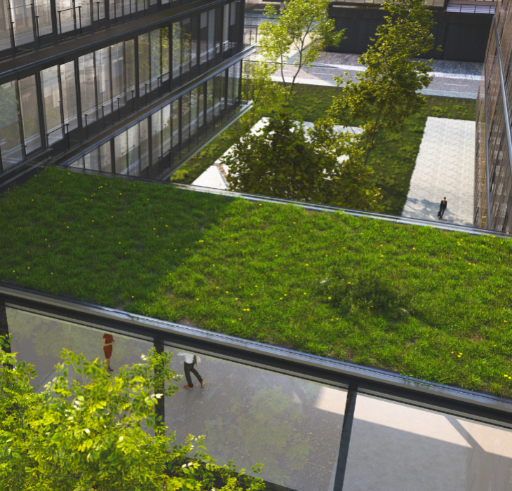 Toit de Bureau  - Parterre fleurit sur le toit d'un bâtiment 