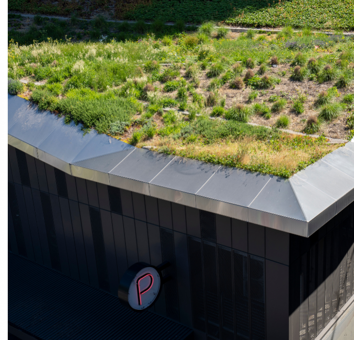  Ornate warehouse roof -  Grass planting on the roof of a warehouse