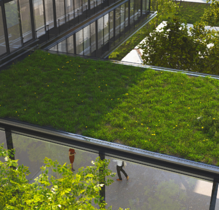 Office Roof - Green roof, composed of grass and gravel