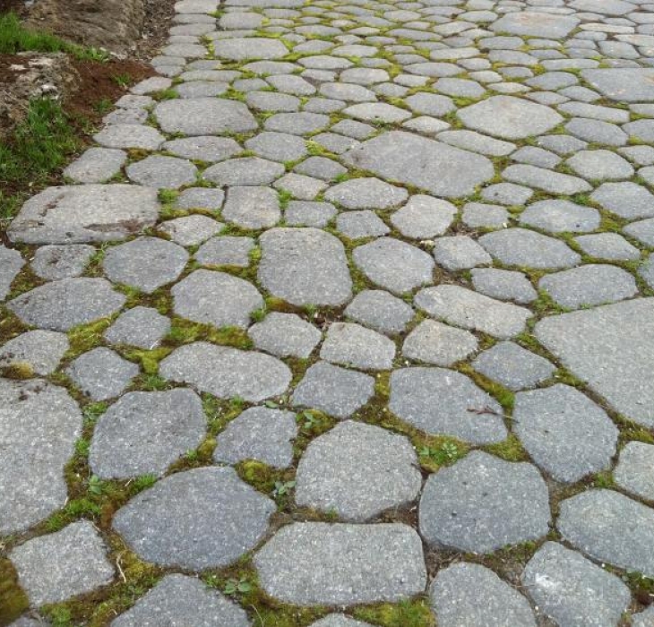 Pavé-uni végétalisé, écologique - Pavé-uni avec végétation forcée,