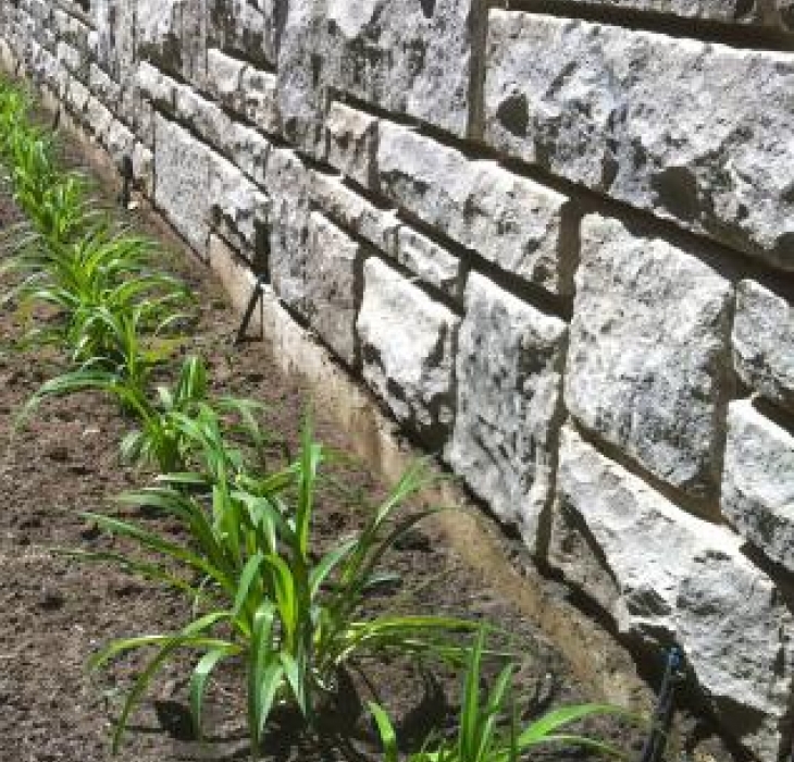 Retaining wall - Westmount Masson