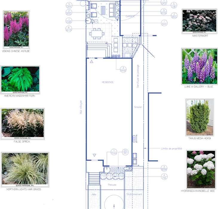 Plan d'extérieur  - Plan d'extérieur avec image de futures plantations