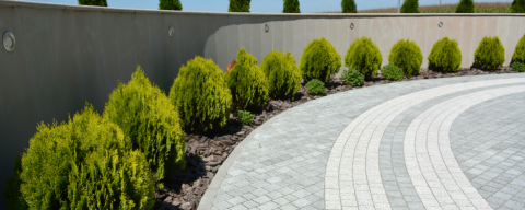 Planting  - Planting shrubs around a wide unistone driveway