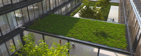 Office Roof - Green roof, composed of grass and gravel